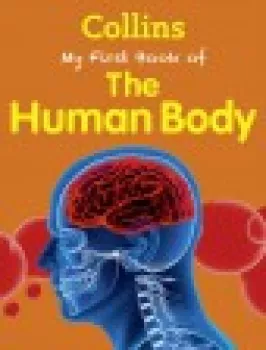  Collins - My First Book of Human Body (VÝPRODEJ)